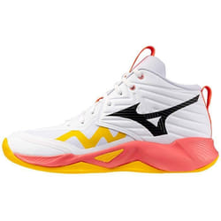 Chaussures De Volley Mizuno Shoe Wave Momentum Pro Mid