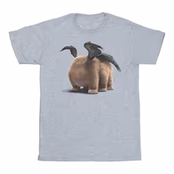 Marvel - T-shirt SHANG-CHI AND THE LEGEND OF THE TEN RINGS - Homme (Gris chiné)