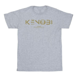 Star Wars - T-shirt - Homme (Gris chiné)