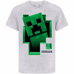 Minecraft - T-shirt manches courtes - Garçon (Gris)