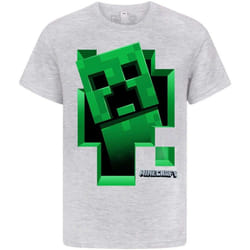 Minecraft - T-shirt manches courtes - Garçon (Gris)