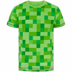 Minecraft - T-shirt manches courtes - Garçon (Vert)