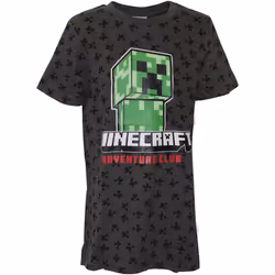 Minecraft - T-shirt - Enfant (Gris)