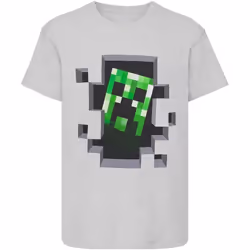 Minecraft - T-shirt - Enfant (Gris)