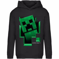 Minecraft - Sweat à capuche INSIDE - Enfant (Noir)