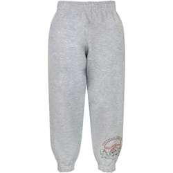 Pokemon - Pantalon de jogging TRAINER ACADEMY - Garçon (Gris)
