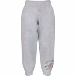Pokemon - Pantalon de jogging TRAINER ACADEMY - Garçon (Gris)