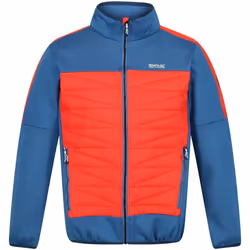 Regatta - Veste isolée CLUMBER - Homme (Bleu / Rouge vif)