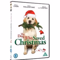 Anchor Bay Entertainment The Dog Who Saved Christmas, 2010, Film, DVD, U, Coloré, Anglais, Adultes et enfants