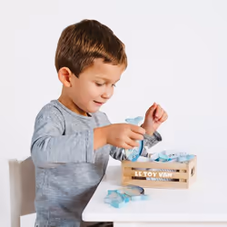 Le Toy Van TV184 jeu d'imitation