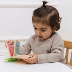 Le Toy Van PL114 jouet d'apprentissage
