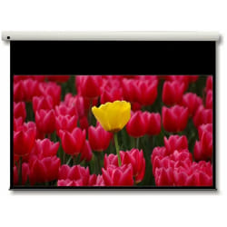 Optoma DE-9092EGA écran de projection 2,34 m (92") 16:9