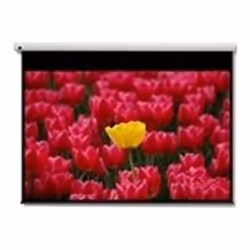 Optoma Pantalla 16:9 2656 x 1494mm, 3,05 m (120"), 16:9