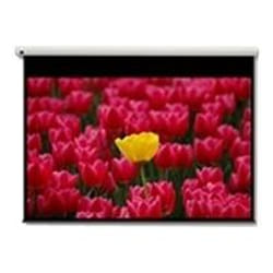 Optoma Pantalla 16:9 2656 x 1494mm écran de projection 3,05 m (120")