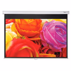 Optoma DS-1109PMG+, Manuel, 2,77 m (109"), 2,34 m, 146,3 cm, 16:10, Noir, Blanc