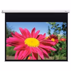Optoma DE-1095EGA écran de projection 2,41 m (95") 16:10
