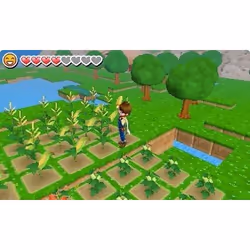 NIS America Harvest Moon : Le Village de l'Abre Célèste Standard Nintendo 3DS - Vue supplémentaire 12