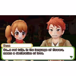 NIS America Harvest Moon : Le Village de l'Abre Célèste Standard Nintendo 3DS - Vue supplémentaire 20
