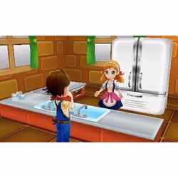 NIS America Harvest Moon : Le Village de l'Abre Célèste Standard Nintendo 3DS - Vue supplémentaire 21