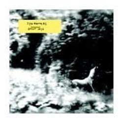 Alive AG Ghost Days CD Indienne Syd Matters