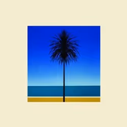 Alive AG The English Riviera (LP), Électronique, Vinyl, Metronomy, WAS Word and Sound / Because Music, Emballage de étirable, ...