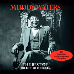 Not Now Music King of The Blues - Muddy Waters, Tons bleus, CD, Muddy Waters, Support physique, Adultes, 2 disques