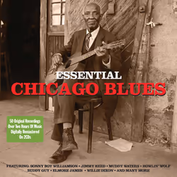 Not Now Music Essential Chicago Blues - Various Artists, Tons bleus, CD, Various Artists, Support physique, Adultes, 2 disque ...
