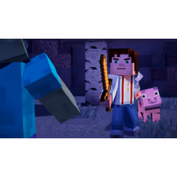 Telltale Games Minecraft Story Mode - The Complete Adventure, Nintendo Switch, Tout le monde de plus de 10 ans