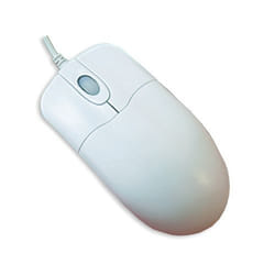 Seal Shield STWM042 souris USB Type-A Optique 800 DPI
