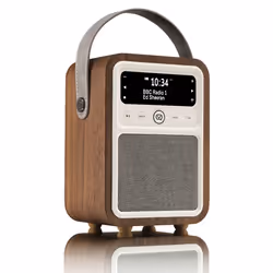 ViewQwest Monty, Personnel, Analogique et numérique, DAB, DAB+, FM, 10 W, Plage complète, 32 chiffres