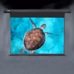 Duronic EPS60/43 écran de projection 60" 4:3
