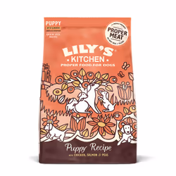 Lily's Kitchen Chicken &amp; Salmon Dry Food for Puppies, Chiot, Poulet, Foie, Saumon, 1 kg