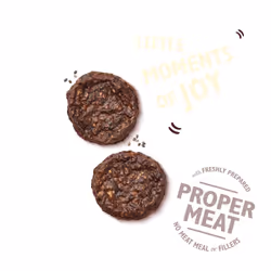 Lily's Kitchen The Best Ever Beef Mini Burgers Chien Friandise Bœuf 70 g