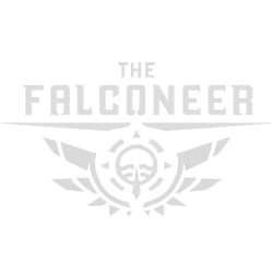 Wired Productions The Falconeer - Warrior Edition Complet PlayStation 4