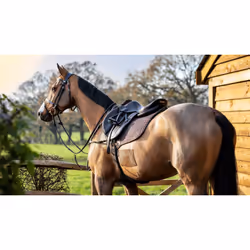 Tapis de selle en coton pour cheval LeMieux Close Contact Square