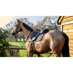 Tapis de selle en coton pour cheval LeMieux Close Contact Square