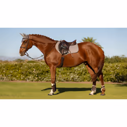 Tapis de selle en coton pour cheval LeMieux Close Contact Square