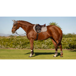 Tapis de selle en coton pour cheval LeMieux Close Contact Square