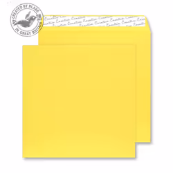 Blake Creative Colour 503, Jaune, 120 g/m², Forest Stewardship Council (FSC), 220 mm, 220 mm