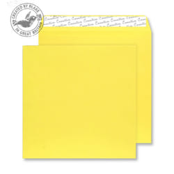 Blake Creative Colour 503 enveloppe Jaune