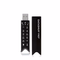 iStorage datAshur PRO2, 32 Go, USB Type-A, 3.2 Gen 1 (3.1 Gen 1), 130,3 Mo/s, Housse, Noir