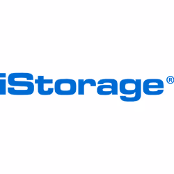 iStorage IS-FL-DSD-256-SP, USB Type-C, 3.2 Gen 1 (3.1 Gen 1), 35,4 g