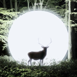 Alive AG Installation CD Alternative Lite