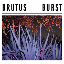 ImportCDs Burst, Heavy metal, CD, Support physique, Adulte, 1 disques, 02/02/2017