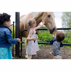 Lottie Dolls Pony Pals - Vue supplémentaire 4