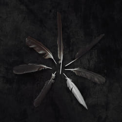 Alive AG Dust And Disquiet CD Rock Caspian