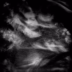 Alive AG The Bedroom Slant CD Danse Archangel
