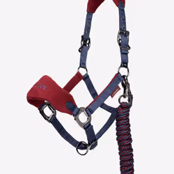 Ensemble licol et longe LeMieux Vogue