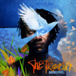 Proper The Traveller, Alternative, CD, Baaba Maal, Support physique, Adulte, 1 disques