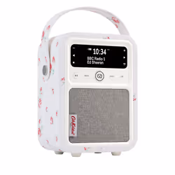ViewQwest Monty, Portable, Analogique et numérique, DAB, DAB+, FM, 10 W, Plage complète, 32 chiffres